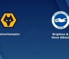 dự đoán Wolves vs Brighton – 18h00 09/05, Ngoại Hạng Anh